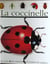 La coccinelle