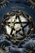 The Royal Coven Tome 1