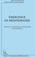 Émergence en méditerranée - attractivité, investissements internationaux et délocalisations
