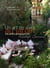 Un art de vivre au jardin - les jardins provençaux de michel semini