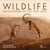 Wildlife photographer of the year : les plus belles photos de nature (édition 2023)