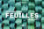 Inspiration land art : Feuilles