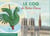 Le coq de Notre-Dame