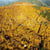 Calendrier 2023 - cevennes
