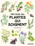 Mini-guide des plantes qui soignent