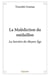 La Malédiction du médaillon : La Sorcière du Moyen Âge