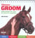Classeur groom - guide pratique des soins du cheval de competition