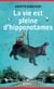La vie est pleine d'hippopotames