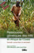 Ressources genetiques des mils en afrique de l'ouest - diversite, conservation et valorisation.