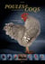 Poules et coqs
