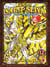 Saint seiya - next dimension - le mythe d'hades t.12