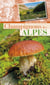 Champignons des Alpes
