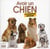 Avoir un chien - 150 questions - réponses