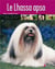 Lhassa apso