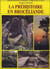 La prehistoire en broceliande