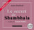 Le traité de Shambhala - la quête de la onzième prophétie
