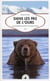 Dans les pas de l'ours - une traversée solitaire de l'alaska sauvage