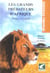 Les grands predateurs d'afrique