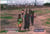Les enfants du mali