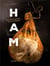 Ham - prime hams of europe - stories and recipes