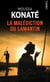 La malédiction du lamantin