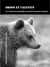 Orson et Valentin ou l'étonnante histoire du déclin des ours d'Europe