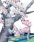 Cherry Blossoms in Bloom : Great Works of Japanese Woodblock Printing