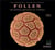 Pollen the hidden sexuality of flowers (compact edition) /anglais