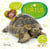 Ma tortue
