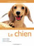 Animaux de compagnie : le chien