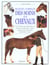 Manuel complet des soins aux chevaux