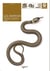 Serpents de france et d'europe