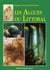 Les algues du littoral