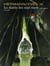 Le diable des sept mers Tome 2
