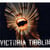 Victoria tibblin
