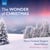 The wonder of christmas