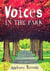 Voices in the park