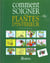 Comment soigner vos plantes d'interieur