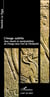 Image subtile, jeux visuels et manipulations de l'image dans l'art de l'antiquité