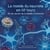 Le monde du neurone en 80 tours - ou les secrets de la maladie d'Alzheimer