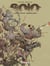 Solo Tome 3 : le monde cannibale