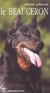 Mon chien le beauceron