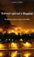 Envoye special a bagdad - pendant la guerre, mars-avril 2003