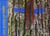 Une année en forêt - arbres et rochers de fontainebleau