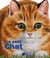 Le petit chat