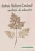 La chimie de la lumière ou la naissance du photogramme