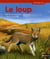 Loup
