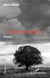 Turbulences