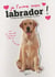 Je l'aime mon labrador !