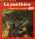 La panthère, princesse de la savane